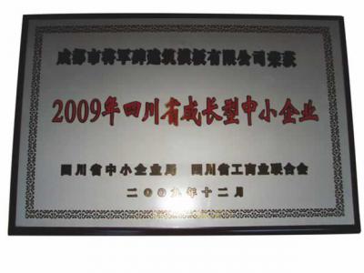 2009年四川省成長(zhǎng)型中小企業(yè)